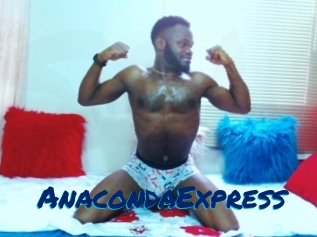 AnacondaExpress