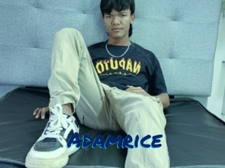 Adamrice