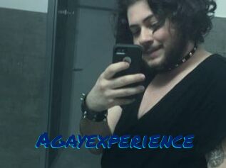 Agayexperience