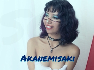 Akanemisaki