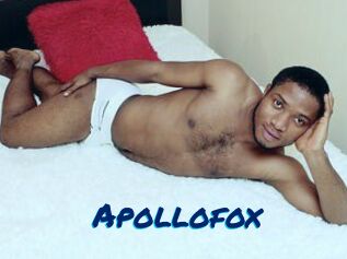 Apollofox