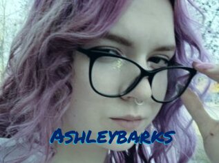 Ashleybarks