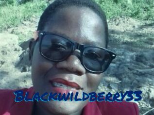 Blackwildberry33