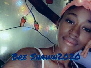 Bre_Shawn2020