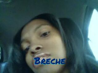 Breche