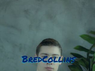 BredCollins