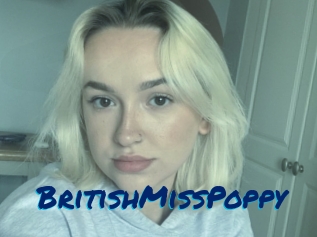 BritishMissPoppy