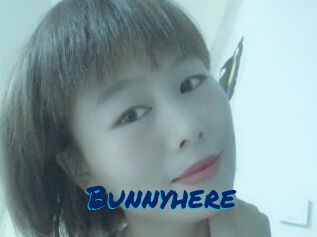 Bunnyhere