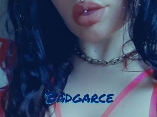 Badgarce