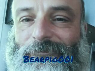 Bearpig001