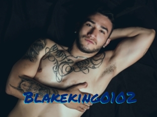 Blakeking0102