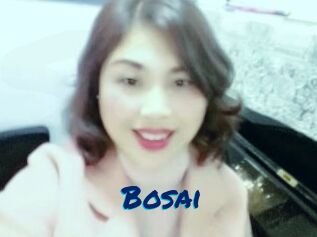 Bosai