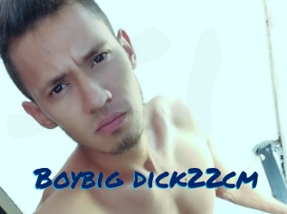 Boybig_dick22cm