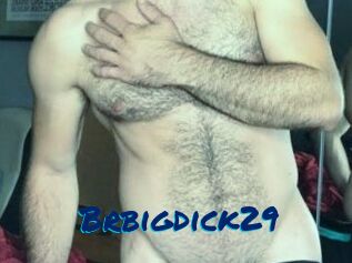 Brbigdick29