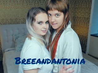 Breeandantonia