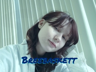 Breebaskett