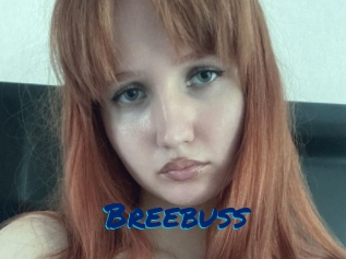 Breebuss