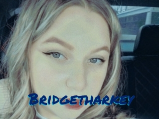 Bridgetharkey