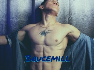 Brucemill