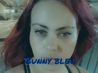 Bunny_bleu