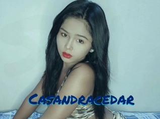 Casandracedar