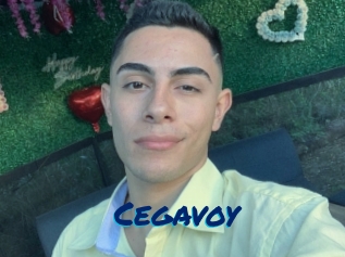 Cegavoy