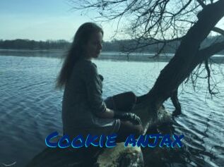 Cookie_anjax