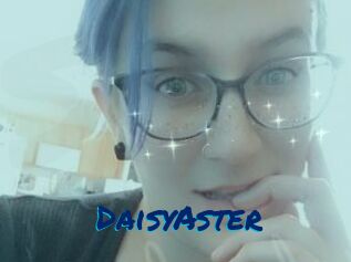 DaisyAster