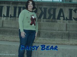 Daisy_Bear