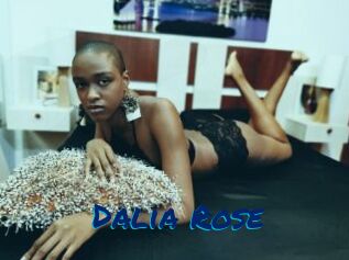 Dalia_Rose