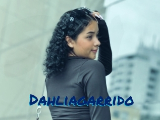 Dahliagarrido