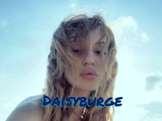 Daisyburge