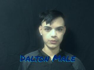 Dalton_Male