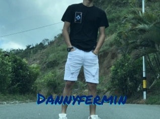 Dannyfermin