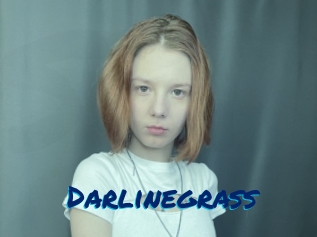 Darlinegrass