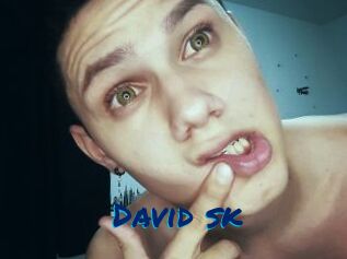 David_sk