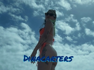 Dinacarters