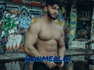 Donmerlin