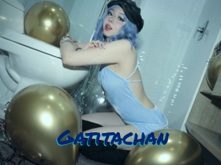 Gatitachan