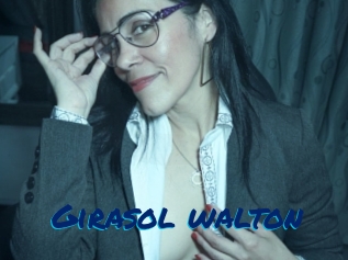 Girasol_walton