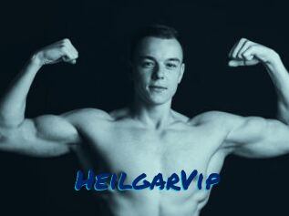 HeilgarVip