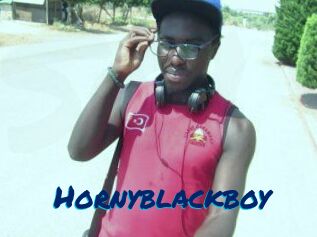 Hornyblackboy