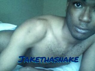 Jake_tha_snake