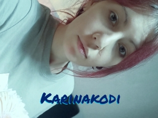 Karinakodi