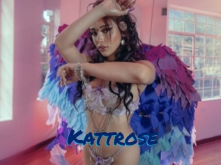 Kattrose