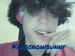 Kingsnowbunny