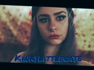 Kinkylittlecate