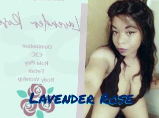 Lavender_Rose