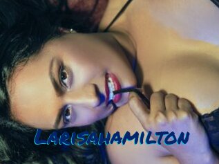 Larisahamilton