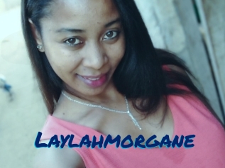 Laylahmorgane